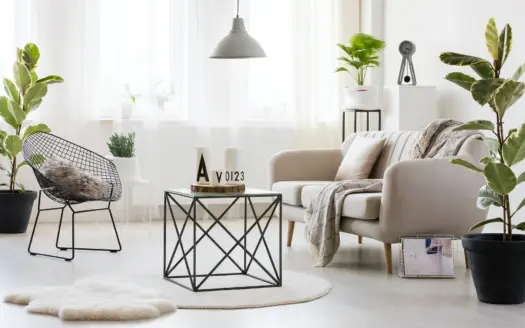 One Bedroom Apartment